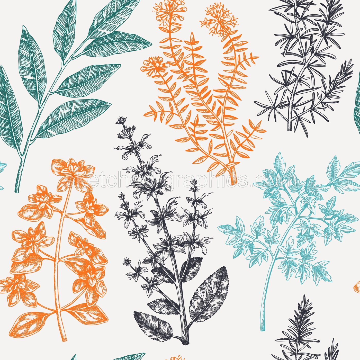 Vector background with typical herbs and spices for Italian cuisine. Hand-sketched kitchen herbal plants illustration. Aromatic food cooking ingredients backdrop. Hand drawn herbs background. Illustration